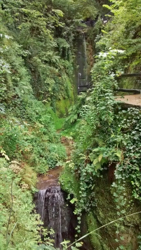 sattes grün mit kleinem Wasserfall