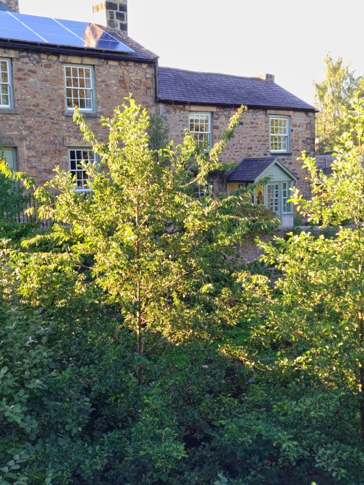Ferienwohnung Bridgehouse