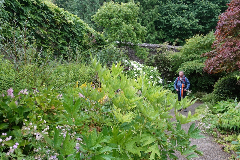 Colby Woodlands Garden ist ein Park in der Nähe von Tenby. Ein kleiner Weg führt duch teils kultivierte teils naturbelassene Bäume, Büsche und Blumen. Eine alte Steinmauer grenzt den angelegten Teil des Gartens ab.